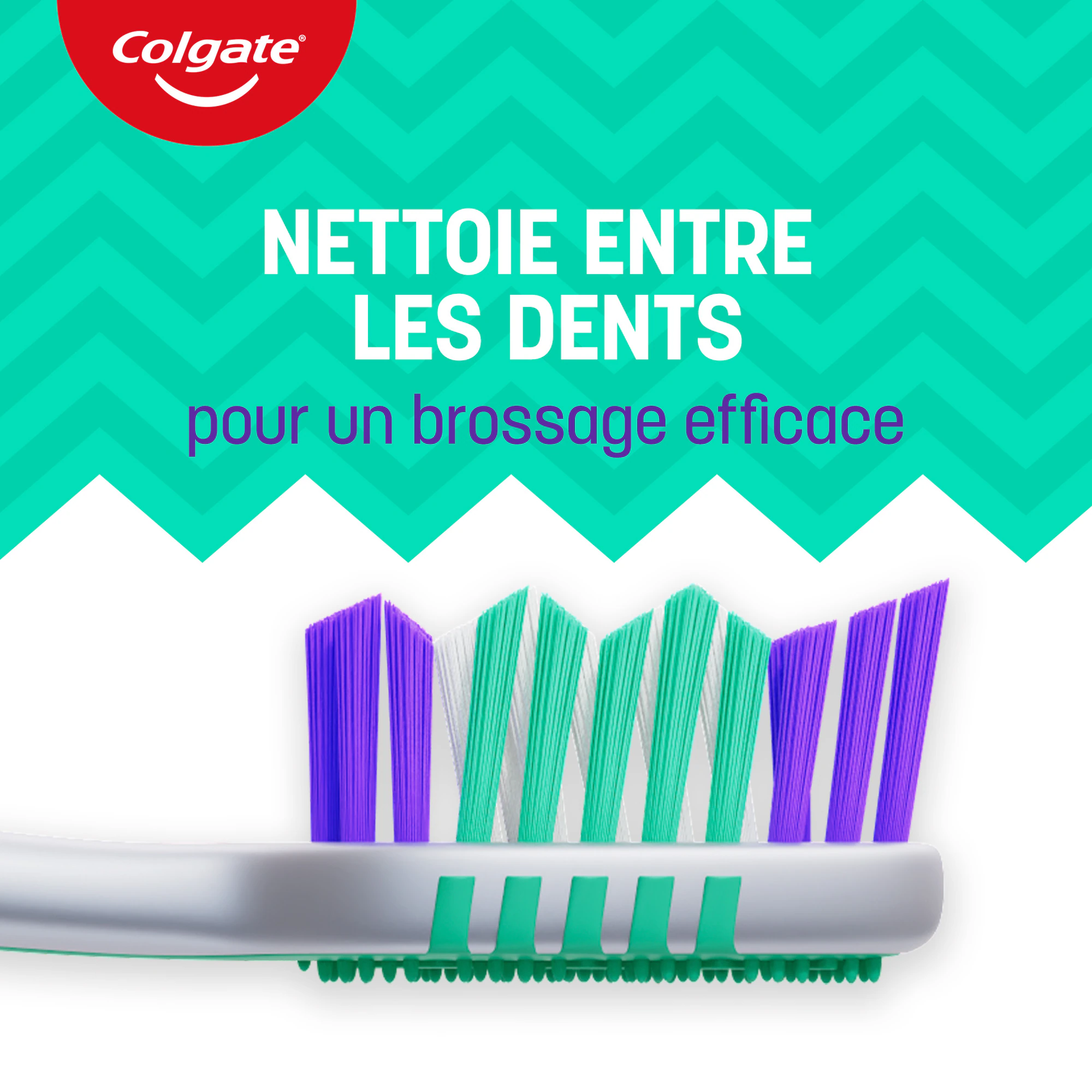 Brosse a dent colgate zigzag